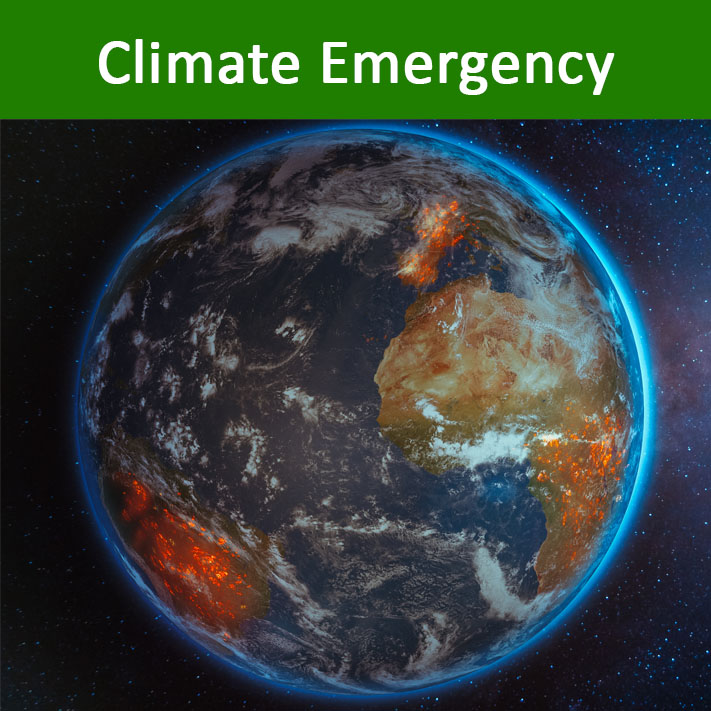 Climate Emergency Icon